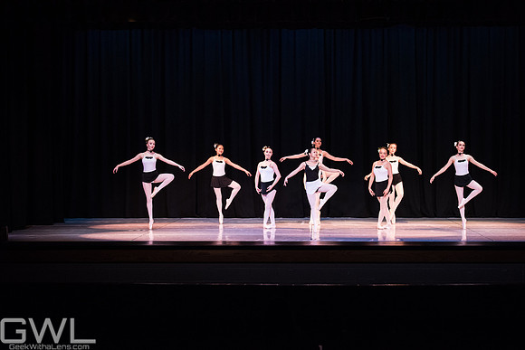 GWL_8095